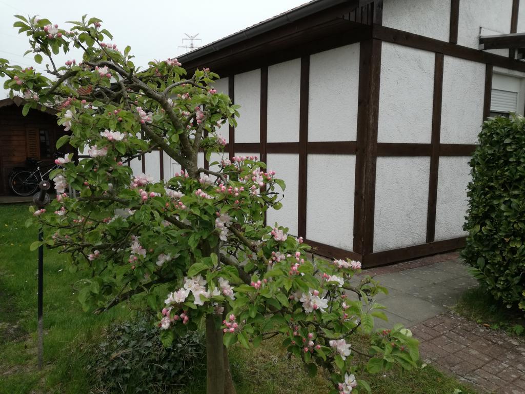 Ferienhaus Apfelbluete Twielenfleth Exteriér fotografie